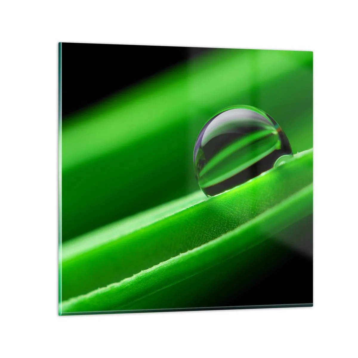 Glass picture - Life from a Close-Up - 30x30 cm