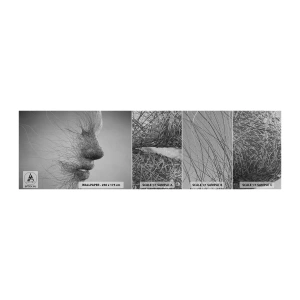 Photo Wallpaper Sample Premium Canvas - Spirit of the Wind - Abstraction, Woman's Face, Graphics - 100x30 cm