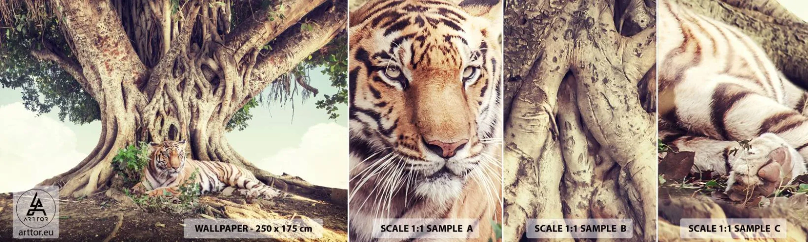 Photo Wallpaper Sample Standard Eco - View from the Genesis - Bengal tiger, India, Landscape - 100x30 cm