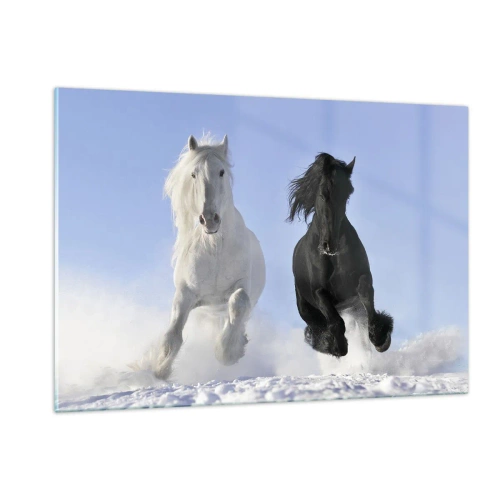 Glass picture - Black and White Gallop - 120x80 cm