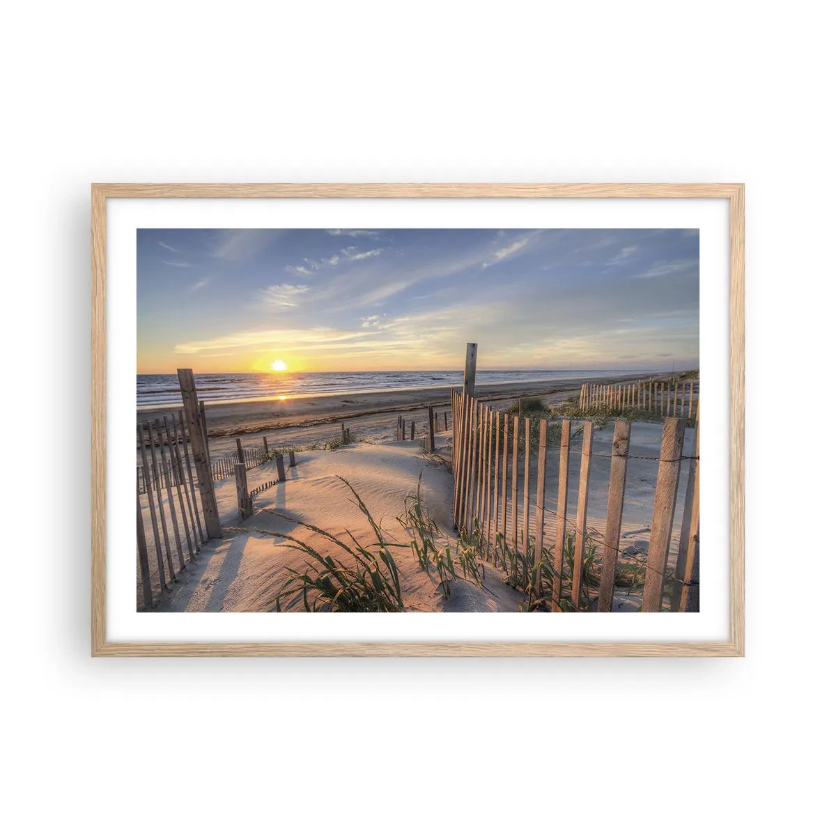 Poster in light oak frame - Light and Shade of the Wind - 70x50 cm