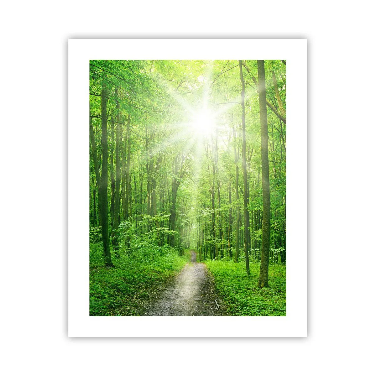 Poster - Green Cathedral - 40x50 cm