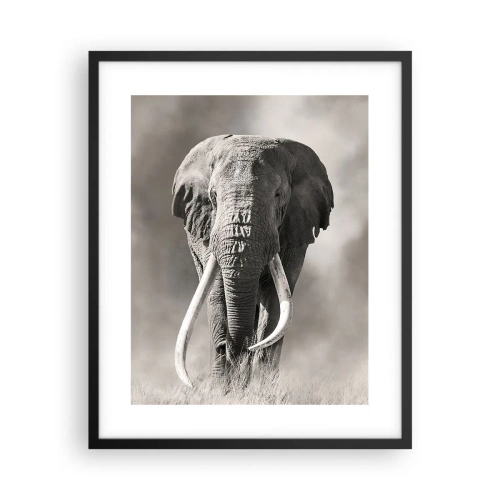 Poster in black frame - African Patriarch - 40x50 cm
