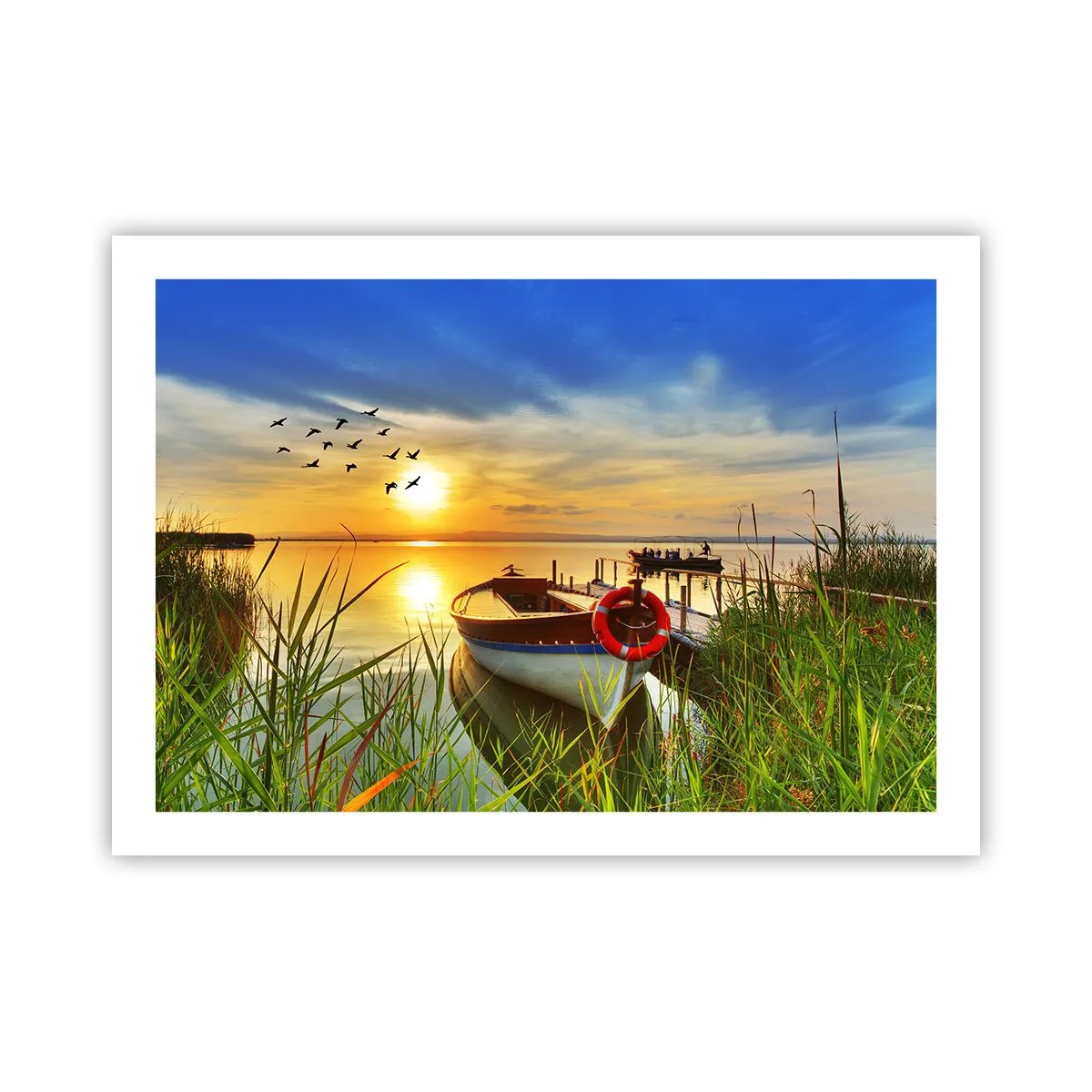 Poster - Cormorants Are Flying Away - 70x50 cm