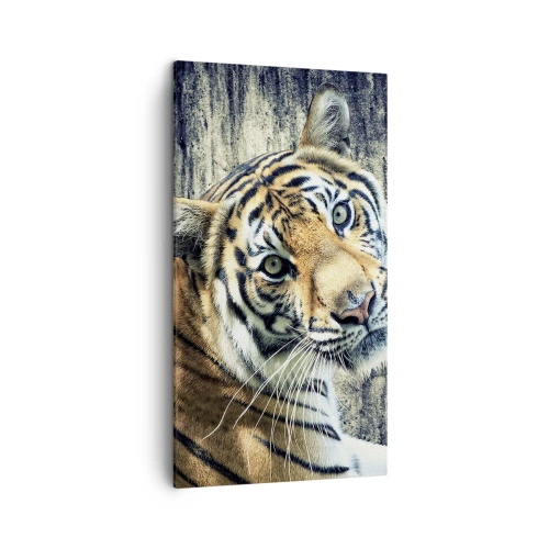 Canvas picture - Portrait in Rays of Light - 45x80 cm