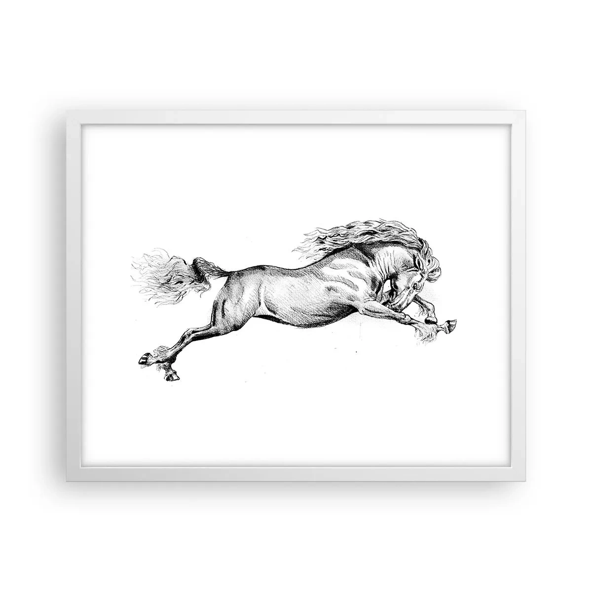 Poster in white frmae - Stopped at a Gallop - 50x40 cm