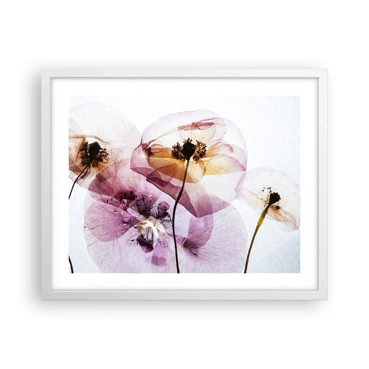 Poster in white frmae - Flower Body Slide - 50x40 cm