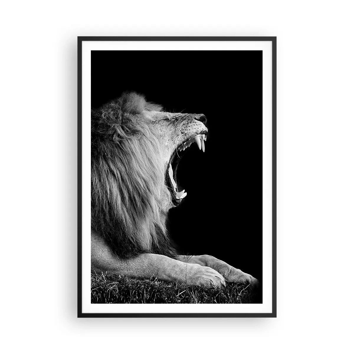 Poster in black frame - Without Any Doubt - 70x100 cm