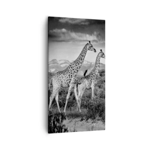 Canvas picture - Higher Spheres in Africa - 55x100 cm