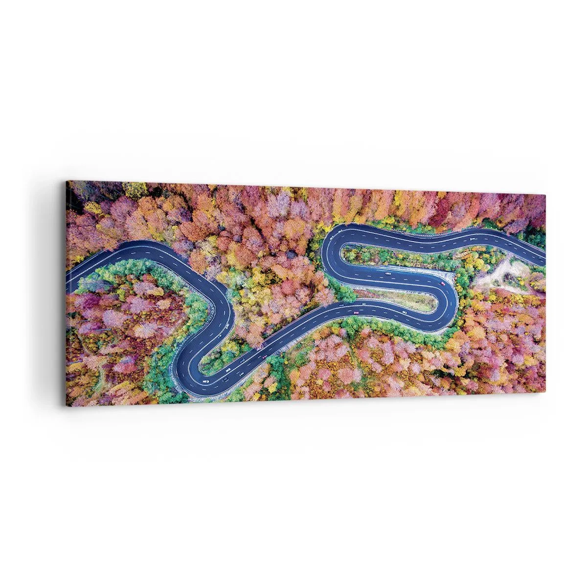 Canvas picture - Winding Path through a Forest - 120x50 cm