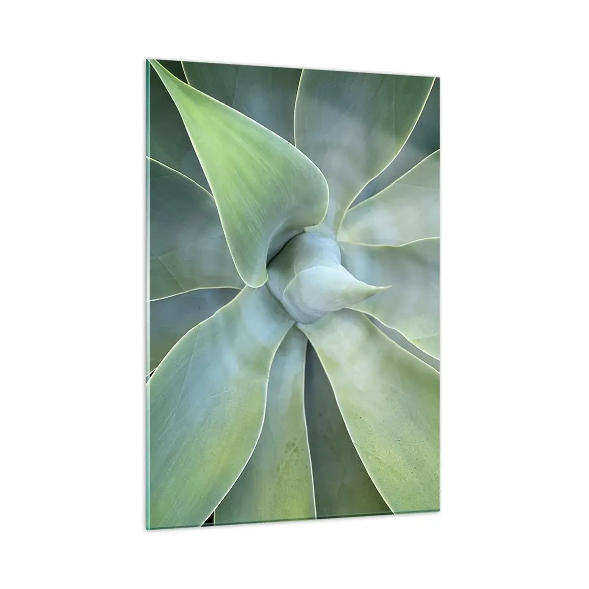 Glass picture - Birth of Green - 50x70 cm