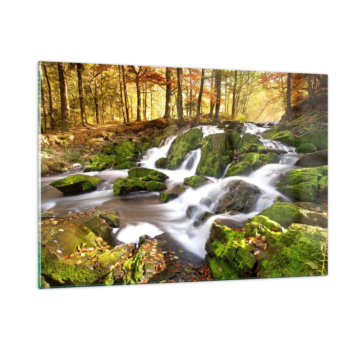 Glass picture - Gingerly through an Autumnal Forest - 120x80 cm