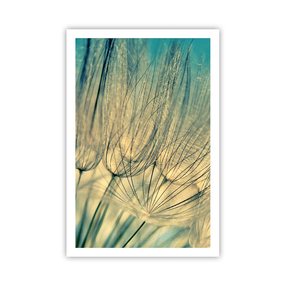 Poster - Waiting for the Wind - 61x91 cm