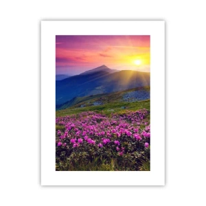 Poster - Surrounded by Mountain Pine and Herbs - 30x40 cm