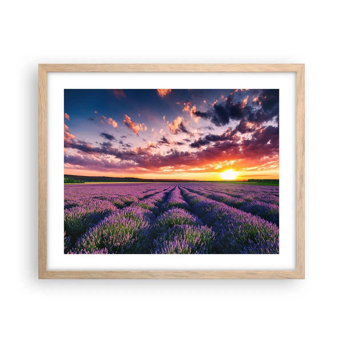 Poster in light oak frame - Lavender World - 50x40 cm
