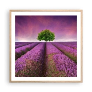 Poster in light oak frame - In the Fields of Lavender - 60x60 cm