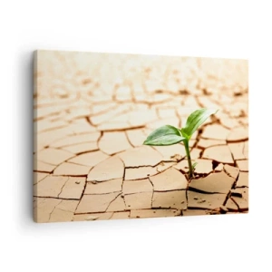 Canvas picture - A green plant growing out of dry, cracked earth - 70x50cm - Untamed Life Force - Modern wall decoration for the living room and bedroom ARTTOR