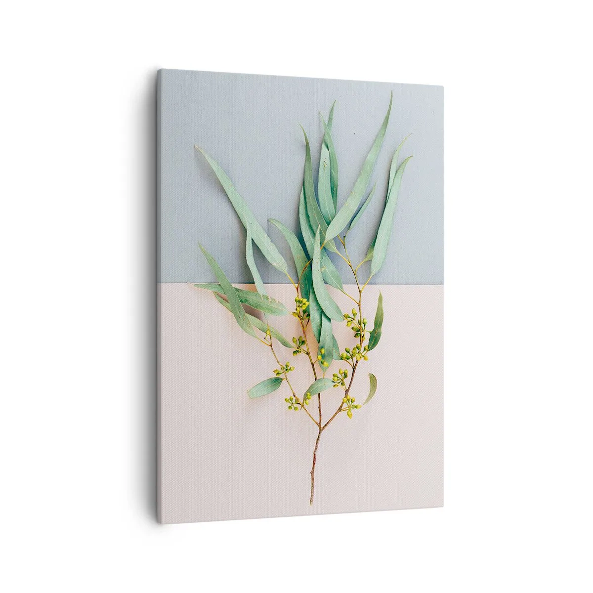 Canvas picture - Pastel Subtlety - 50x70 cm