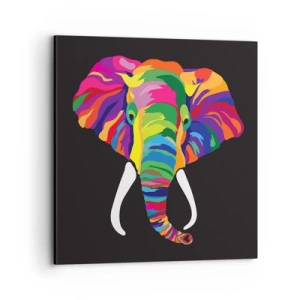 Canvas picture - Elephant That Enjoyed Rainbow Bath - 70x70 cm