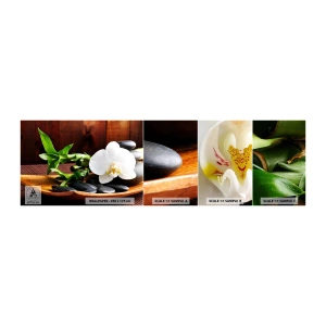 Photo Wallpaper Sample Self-Adhesive Deluxe Sticker - Let Nature Touch You - Flowers, Orchid, Orchid - 100x30 cm