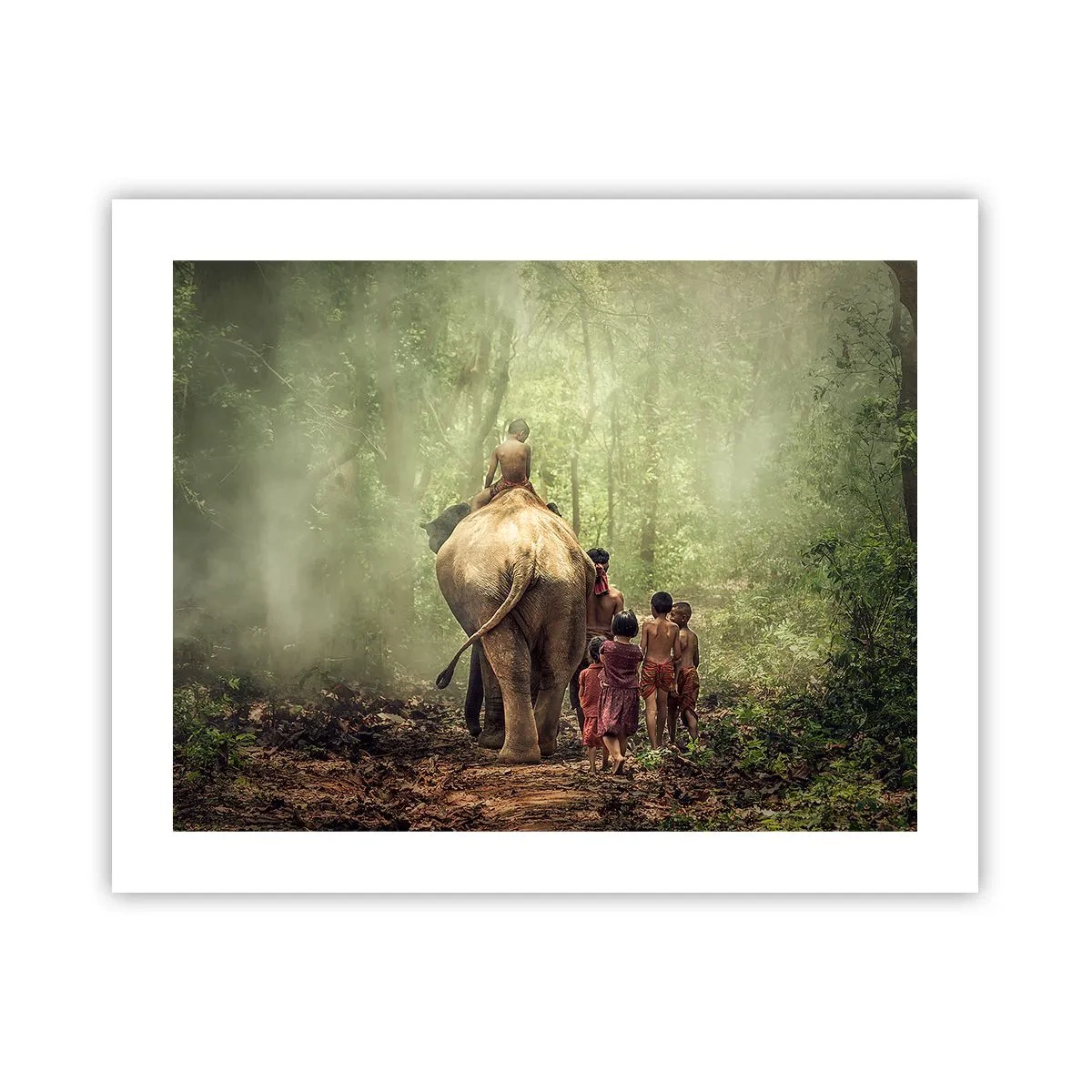 Poster - New Jungle Book - 50x40 cm