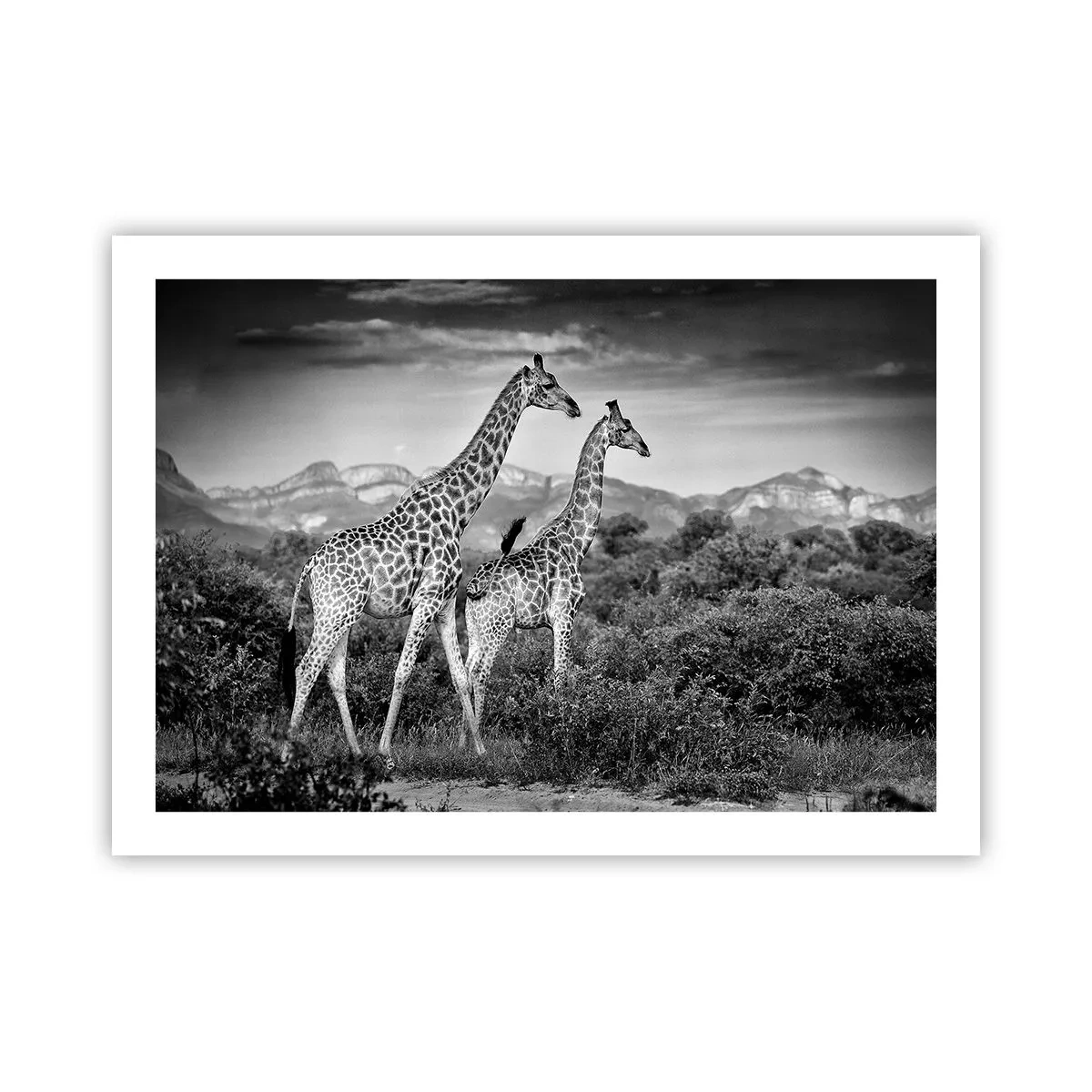 Poster - Higher Spheres in Africa - 70x50 cm